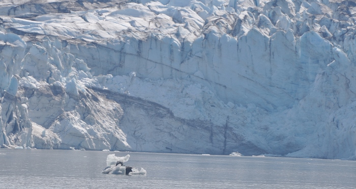 approaching Lamplugh glacier